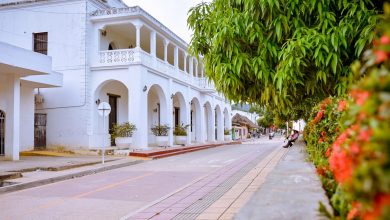 Photo of San Juan Nepomuceno completa seis (6) días consecutivos sin reportes de nuevos casos de COVID-19