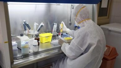 Photo of Universidad de Oxford estaría produciendo vacunas para comercializarlas en diciembre