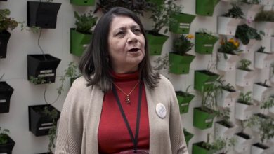 Photo of Procuraduría sanciona e inhabilita a exalcaldesa de El Guamo, Bolívar