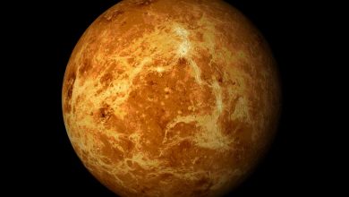 Photo of ¡De no creer! Hallan indicios de vida en el planeta Venus
