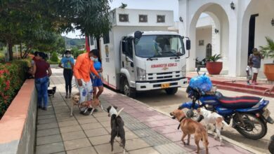 Photo of Avanza la gran brigada de salud animal en el parque Diógenes A. Arrieta