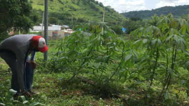 Photo of El profe Medina: para los números y el medio ambiente