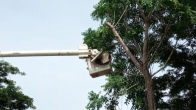 Photo of ¡Vuelve y juega! Afinia suspenderá el servicio de energía este viernes 9 de octubre en sector de San Juan Nepomuceno