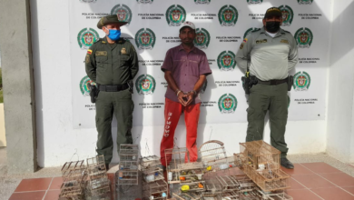 Photo of En Magangué, capturan a un hombre por agredir a su pareja por no dar de comer a sus pájaros