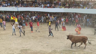 Photo of Un muerto en la primera tarde de toros en Barranca Vieja, Calamar