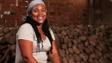 Photo of La resiliencia del ñame de la paz en los Montes de María PDET