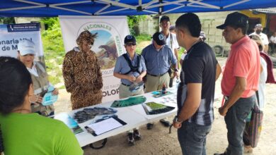Photo of En San Juan Nepomuceno, más de 500 animales silvestres arrollados, se intensifica campaña con conductores