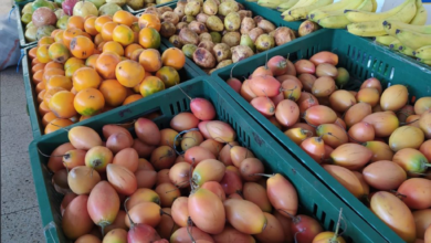 Photo of En septiembre aumentaron precios de los alimentos