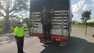 Photo of 32 reses hurtadas fueron recuperadas por la Policía de Bolívar, avaluadas en 120 millones de pesos