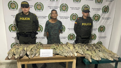 Photo of Uniformados evitaron que más de 30 iguanas cayeran en manos de inescrupulosos