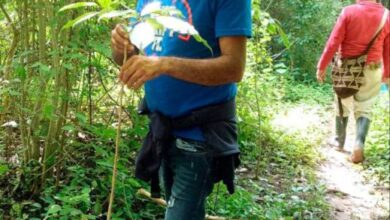 Photo of Omar Tapias Estrada pasó de vender leña a ser un guardián ambiental en los Montes de María