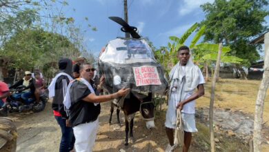 Photo of «Burro Helicóptero de Francia» fue el ganador del Festival Nacional del Burro en San Antero, Córdoba