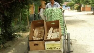 Photo of El legado de “Pello Pan”: el hombre que ganó la lotería sin comprarla y alimentó a una generación del pueblo
