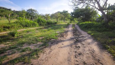 Photo of Nueva vía conectará El Salado y Pativaca en el Carmen de Bolívar, gracias a la estrategia de Obras por Impuestos de la ART