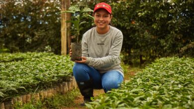 Photo of Promigas y Fondo Acción impulsan 11 proyectos sostenibles en Colombia