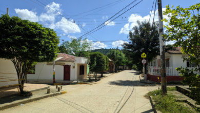 Photo of La inseguridad no da tregua: docente es víctima de robo en banco de San Juan Nepomuceno