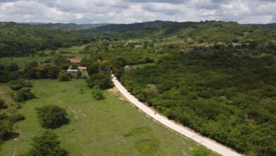 Photo of Gobierno Nacional entrega obra de pavimentación en el Guamo Bolívar