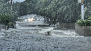 Photo of ¿Por qué en Barranquilla llueve menos que en Santa Marta y Cartagena cuando pasa un sistema tropical?
