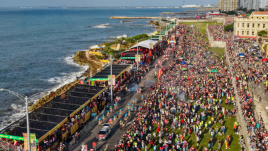 Photo of Cartagena vibró con más de 50.000 asistentes en el Gran Desfile del Bando 2025