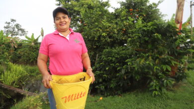 Photo of Fondo Emprender abre 12 convocatorias con más de $282.000 millones para impulsar nuevos negocios en Colombia