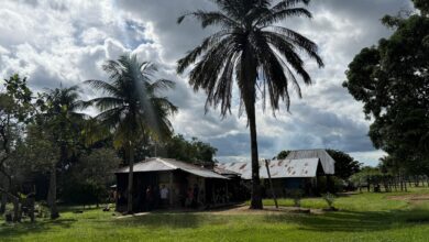 Photo of Las 6.000 hectáreas de baldíos que pasan de la familia de Paloma Valencia a campesinos
