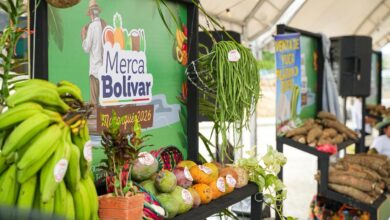 Photo of Magangué vive AgroBolívar 2026, feria que impulsa el campo y la economía rural del sur de Bolívar