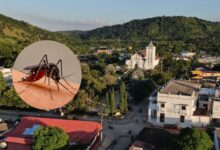 Photo of Alerta: casos de dengue aumentaron un 50 % entre mayo y junio en San Juan Nepomuceno