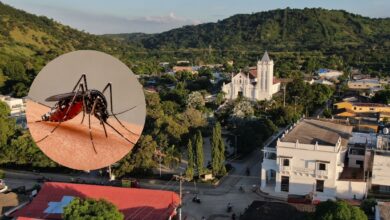 Photo of Alerta: casos de dengue aumentaron un 50 % entre mayo y junio en San Juan Nepomuceno