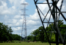 Photo of Este 10 de junio, trabajos de mantenimiento dejarán sin energía a sectores de San Jacinto, San Juan Nepomuceno y El Guamo
