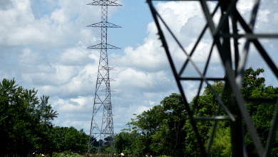 Photo of Este 10 de junio, trabajos de mantenimiento dejarán sin energía a sectores de San Jacinto, San Juan Nepomuceno y El Guamo